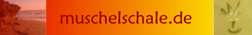 muschelschale.de